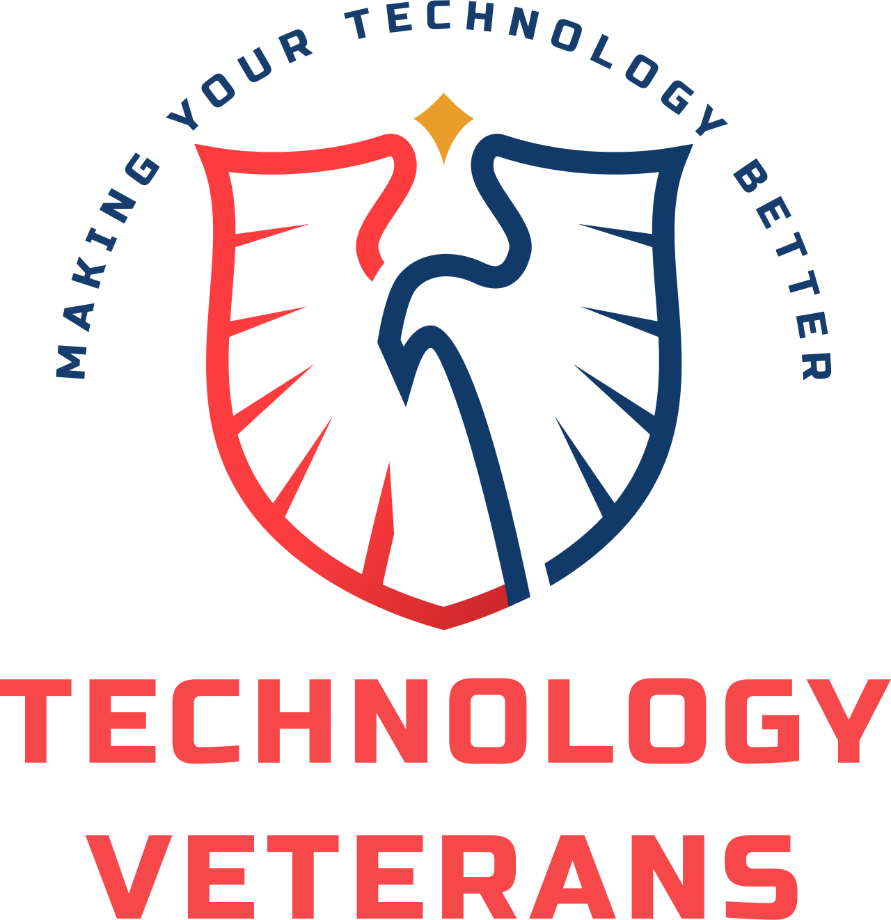 This is Technology Veterans' logo.